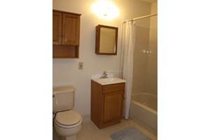 Victorian Gardens - Photo 2 of 6