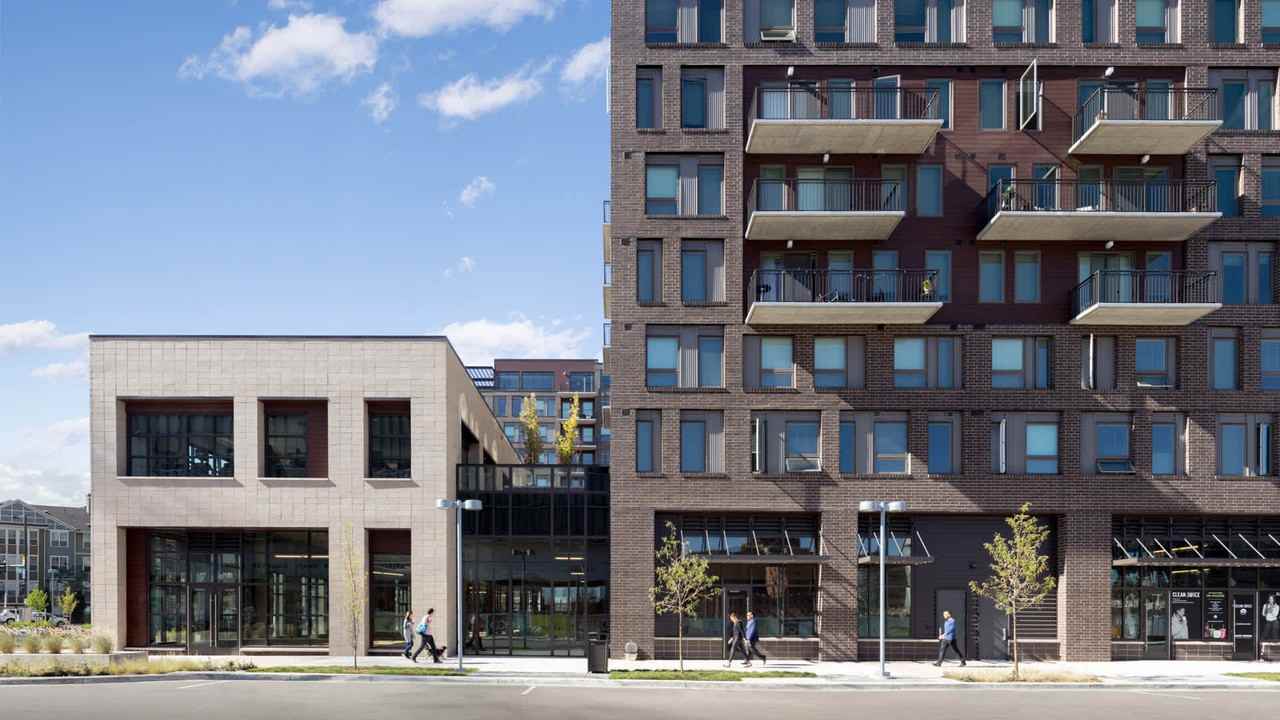 Theo - Photo 2 of 39