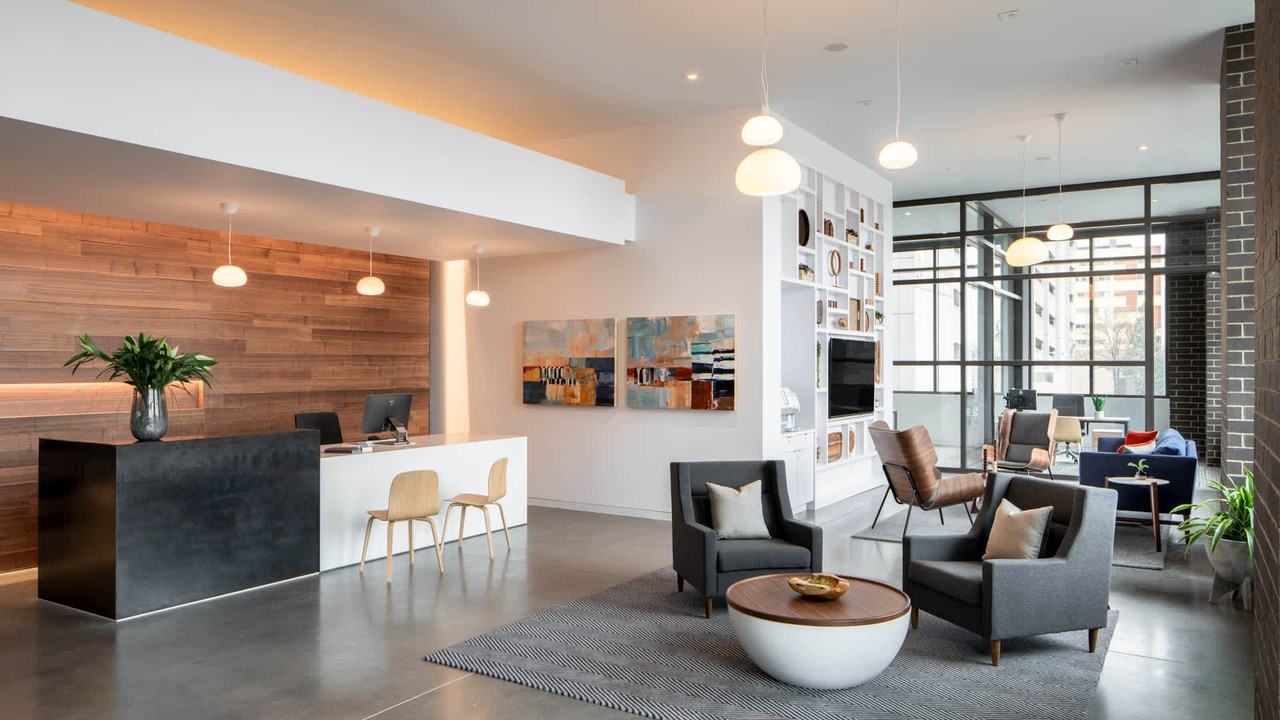 Theo - Photo 4 of 39