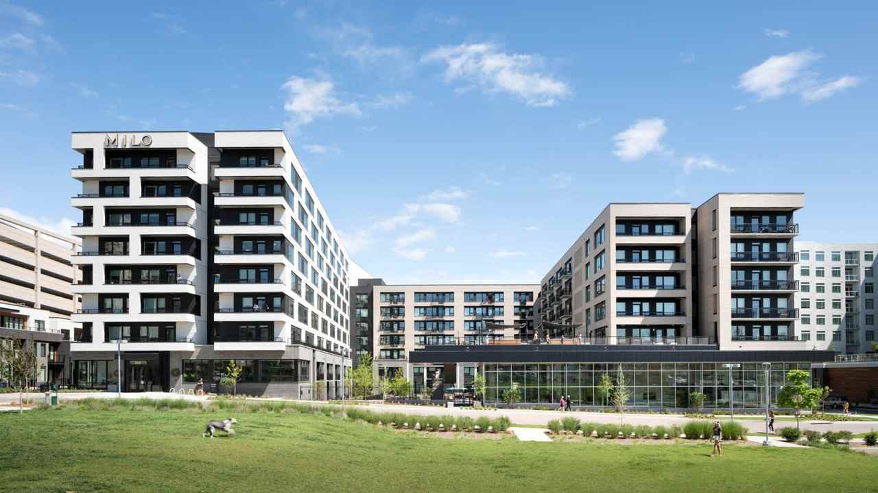 Milo - Photo 4 of 28