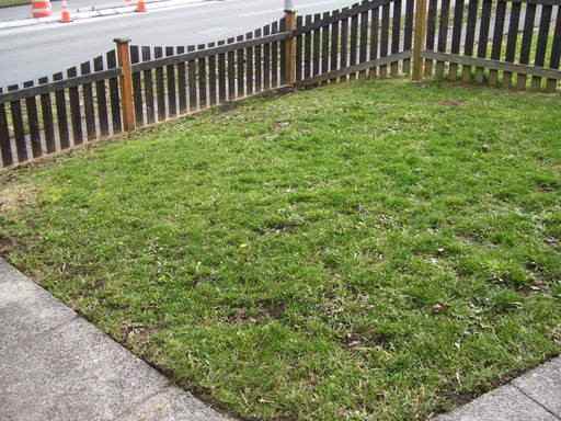 1711 Capitol Way S - Photo 3 of 18