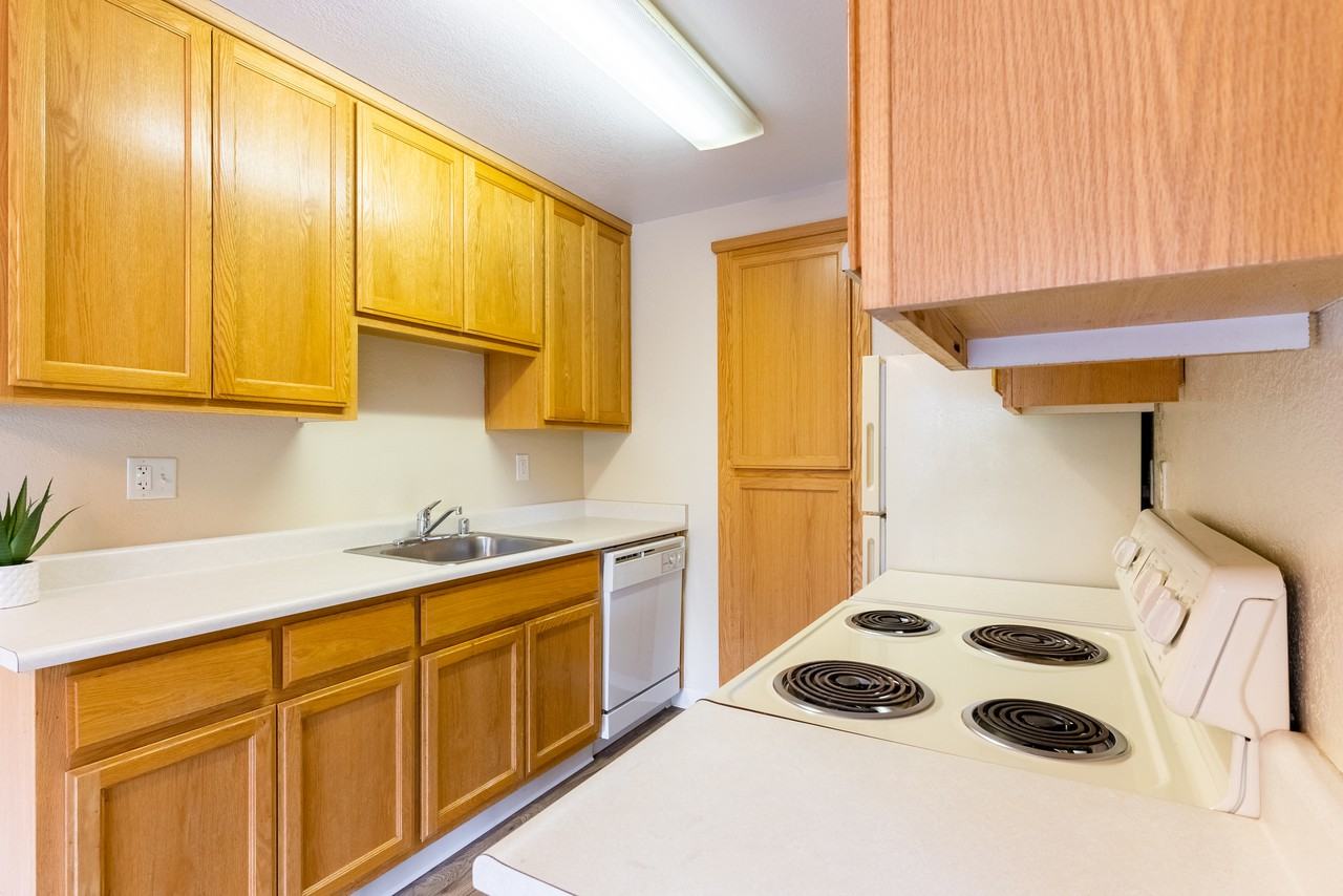 Union Park - Photo 5 of 59