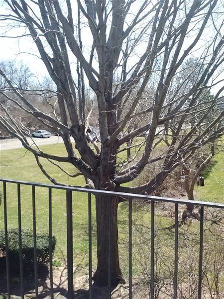 Branford Hills Condos Apartments 87 Florence Rd, Branford, CT 06405