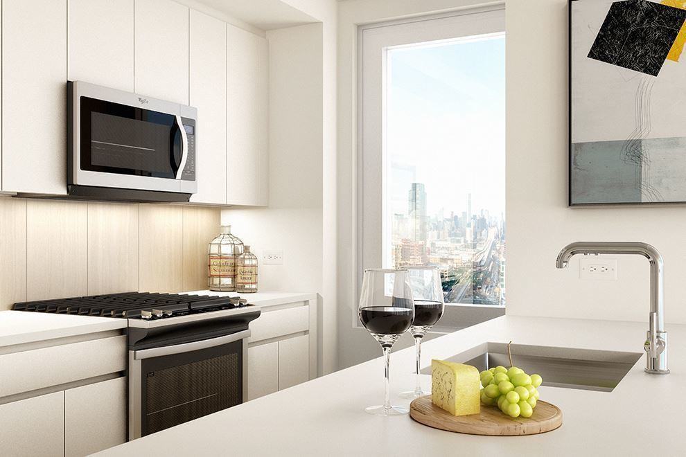 Queens Plaza North #15G - Photo 5 of 13