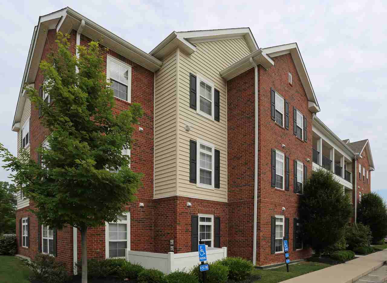 The Province - Photo 4 of 23