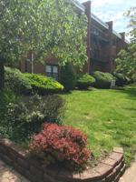 featured image of 821 Central Ave