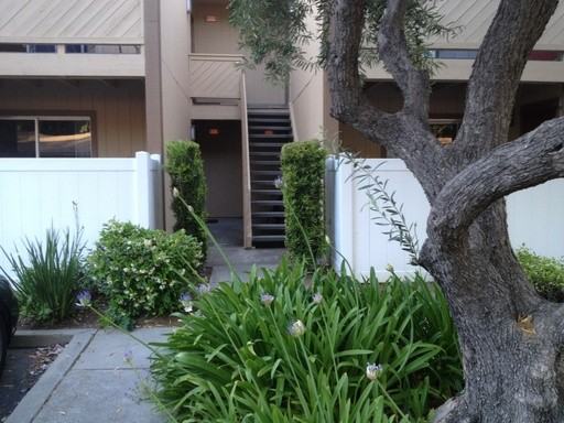 38552 Mary Terrace - Photo 2 of 10