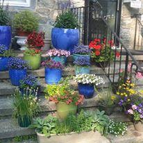 3 Cook St #32 - Photo 6 of 18