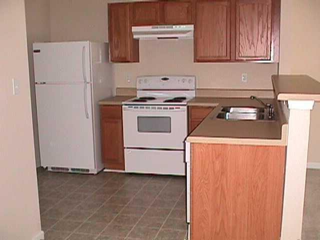 111 Swaying Pine Ct - Photo 3 of 8