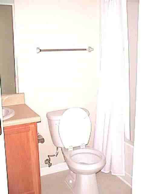 111 Swaying Pine Ct - Photo 5 of 8