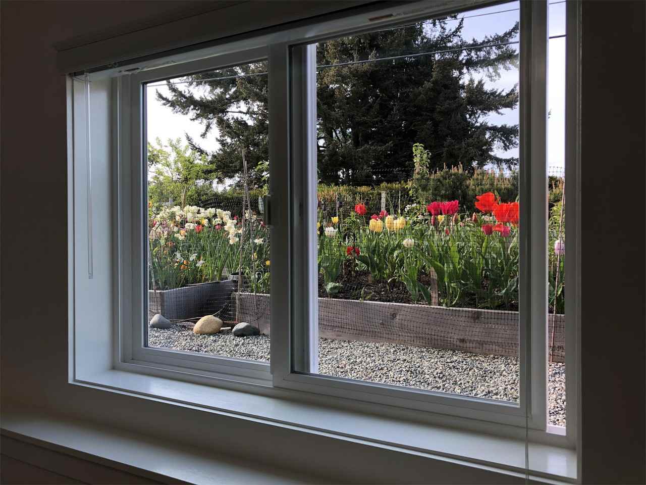 294 Crescent Rd W Lowr - Photo 2 of 10