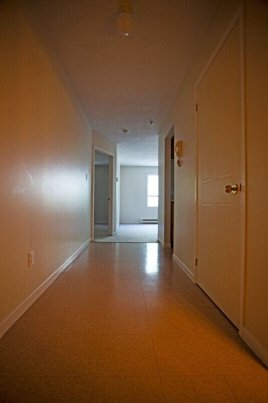 1 Richmond St #312 - Photo 3 of 15