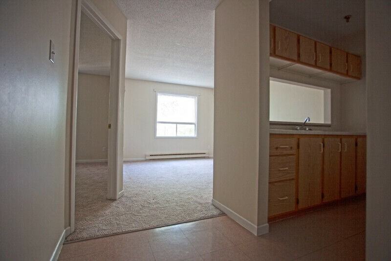 1 Richmond St #312 - Photo 4 of 15
