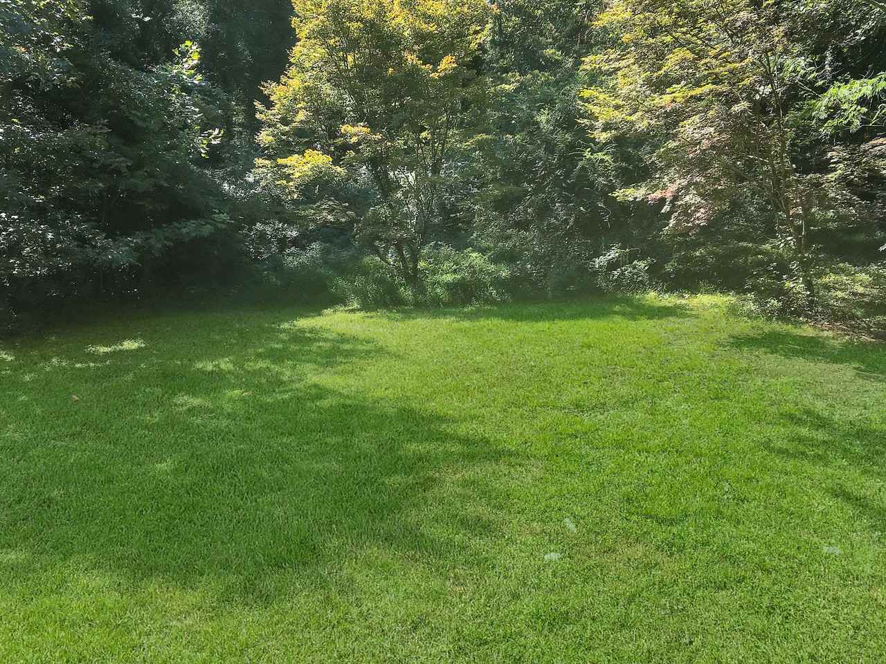 949 Tuckawanna Dr Sw - Photo 2 of 19