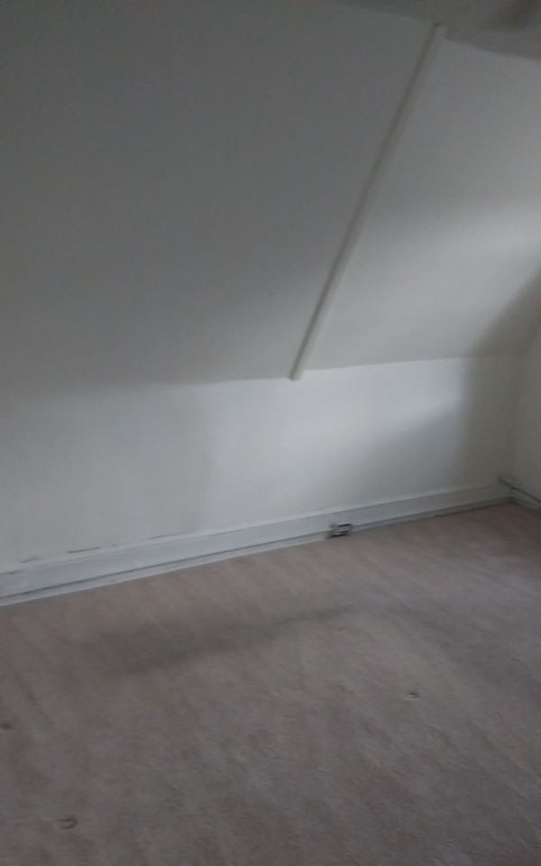 523 Oley St - Photo 3 of 11