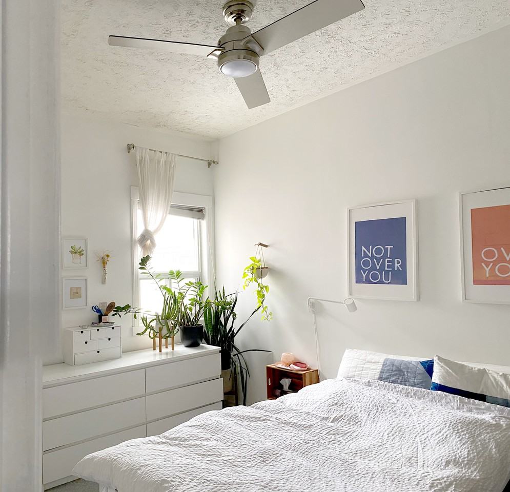 132 Lisgar Street - Photo 4 of 14