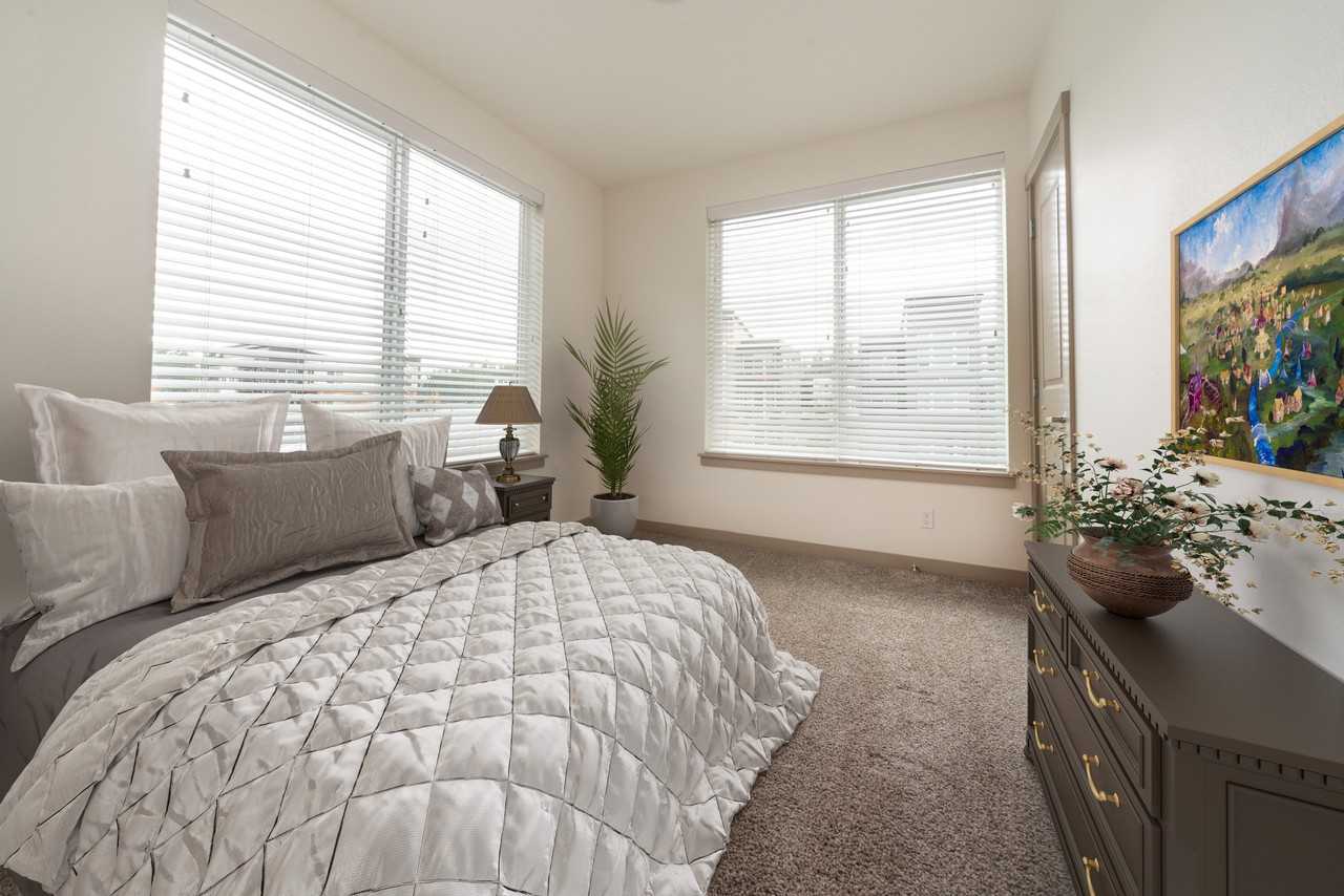 Monarch - Photo 4 of 51