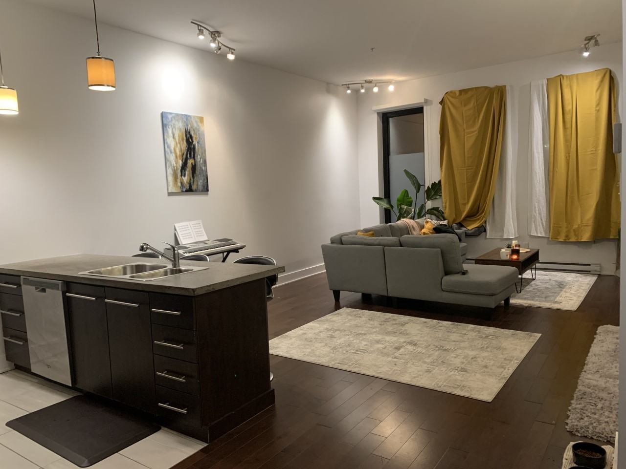 4270 Avenue Papineau, Montréal, QUÉBEC H2H 1S9 1 Bedroom Apartment