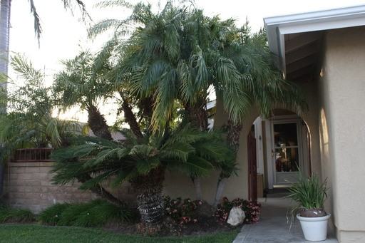 27261 Miraflores - Photo 2 of 7