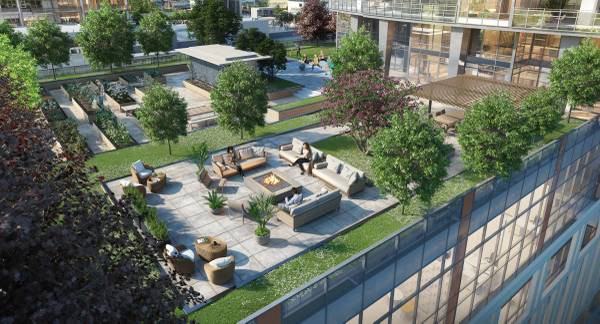 CIRRUS - SOLO - Photo 2 of 2