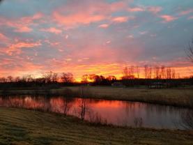 104 Paradise Cir - Photo 1 of 1