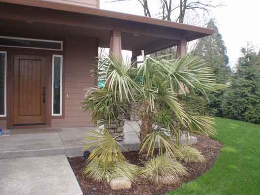 7611 NE 141st Ct - Photo 3 of 21