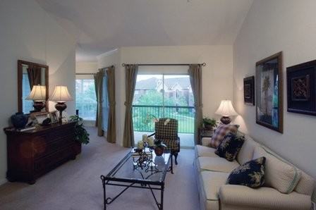 New Territory Blvd #62h