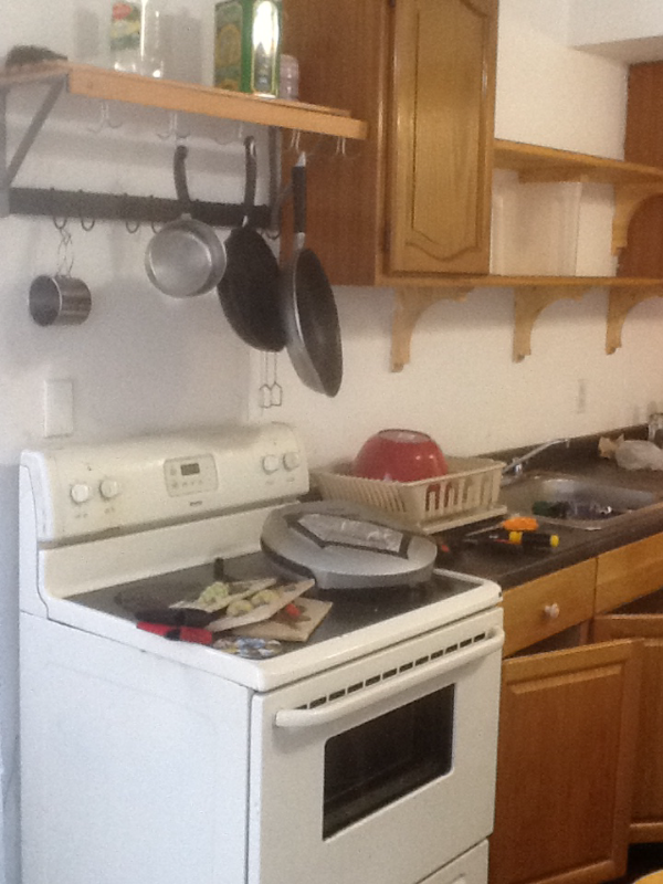 1031 Downer Ave - Photo 2 of 15