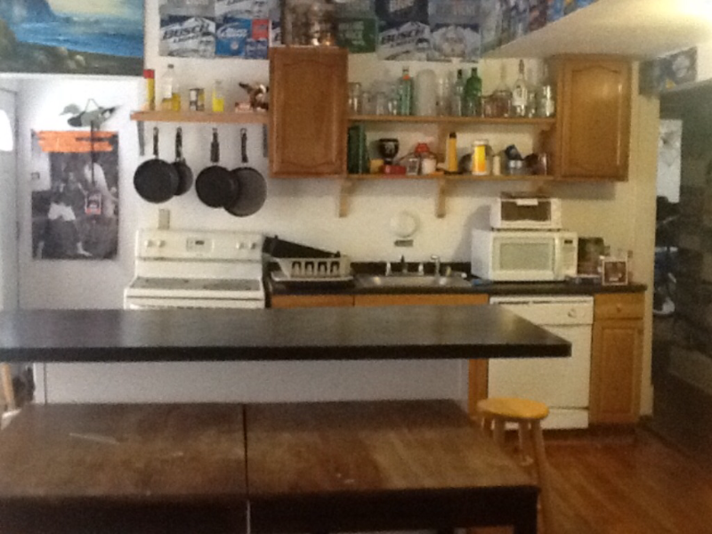 1031 Downer Ave - Photo 3 of 15