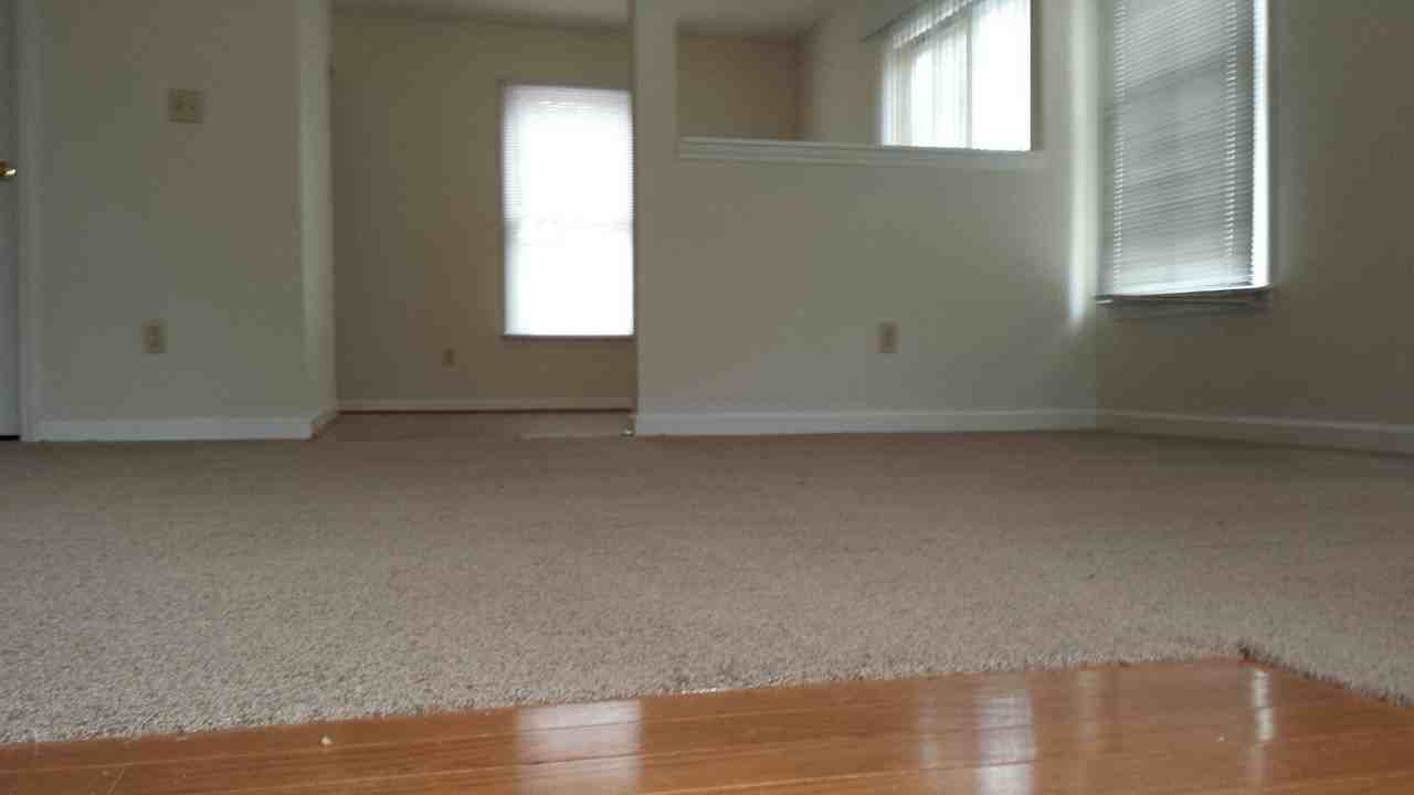 1121 Polk St - Photo 2 of 13