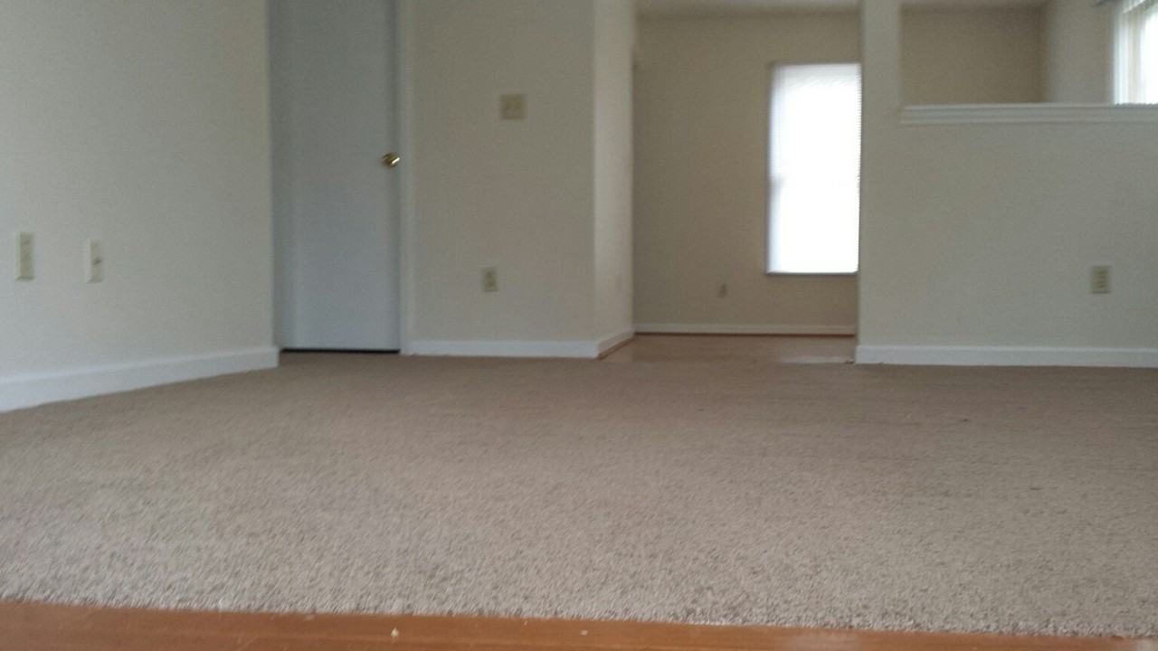 1121 Polk St - Photo 3 of 13