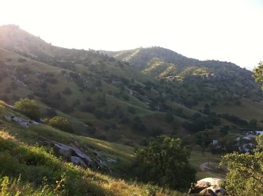 32065 Mallard Ln - Photo 3 of 18