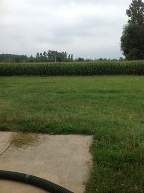 16654 Co Rd 36 - Photo 3 of 12