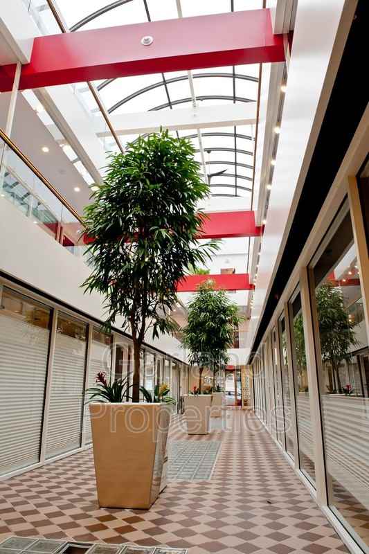 110 Campbell Ave Sw #007 - Photo 3 of 16