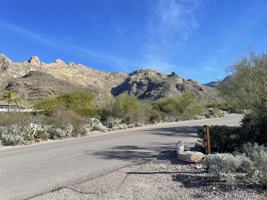 featured image of 1020 E Magee Rd