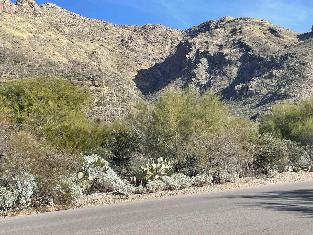 1020 E Magee Rd - Photo 2 of 27