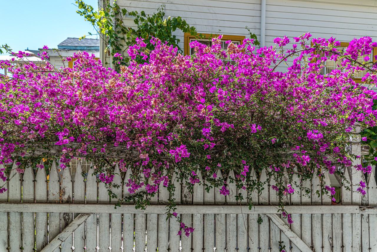 2076 Ashby - Photo 6 of 6