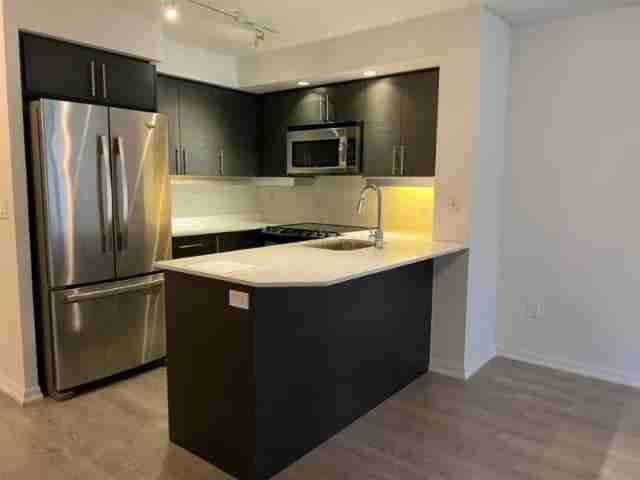 75 East Liberty Street #502