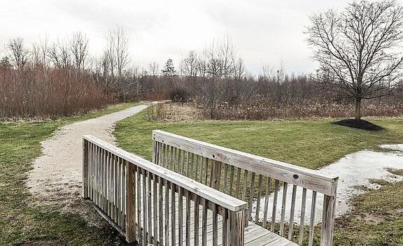 2557 Bristlecone Ln - Photo 3 of 20