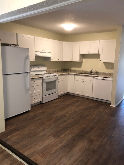 847 Winter Garden Dr - Photo 3 of 3