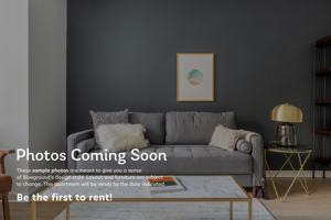Short Term Rentals In Loop, IL | Great Apartments & Houses Available |  Short Stays or Month-to-Month