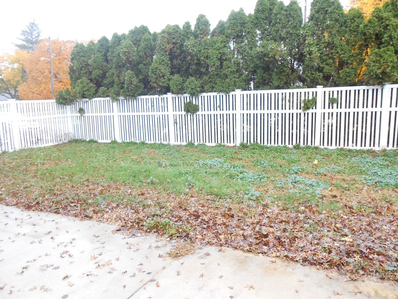 49 W Queen St - Photo 2 of 10