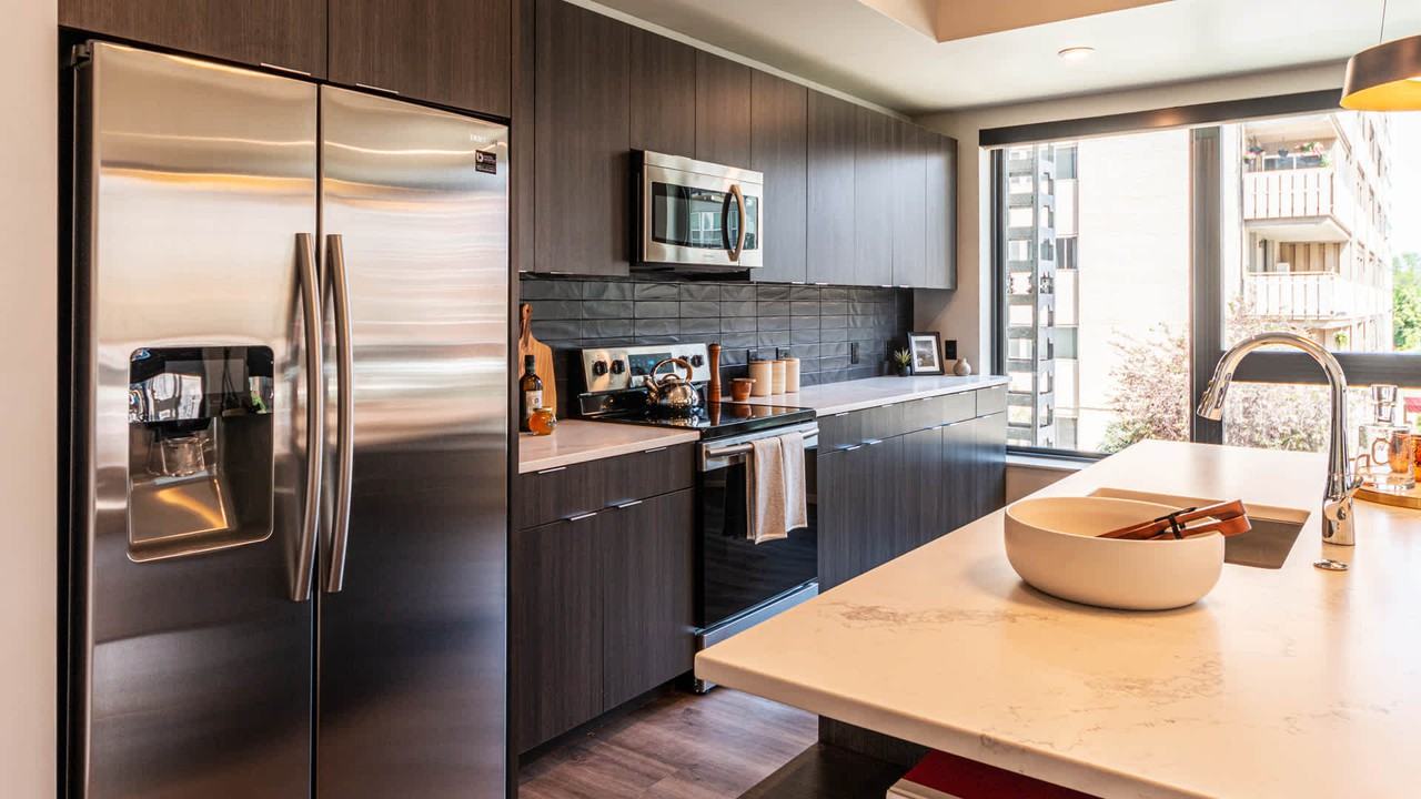 Milo - Photo 5 of 28