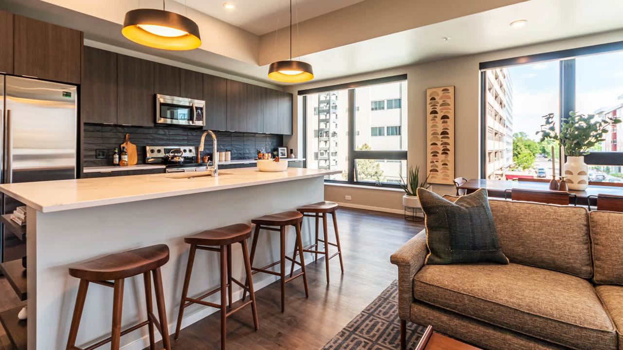 Milo - Photo 7 of 28