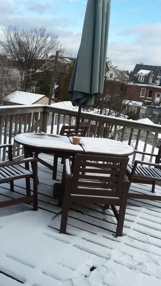 121 Concord Apartments in Dufferin Grove, Toronto, ON M6H 2P2 Zumper