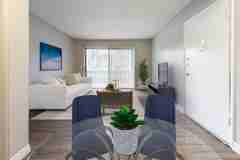 Capes at Ventura - Photo 1 of 1