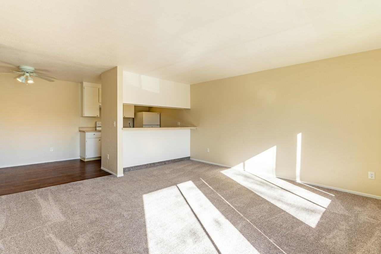 Almaden House - Photo 5 of 49