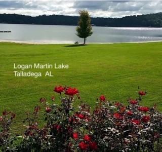 121 Light Lane #121MTN - Photo 6 of 23