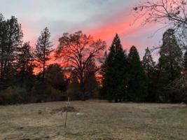 featured image of 123 Adams Ln