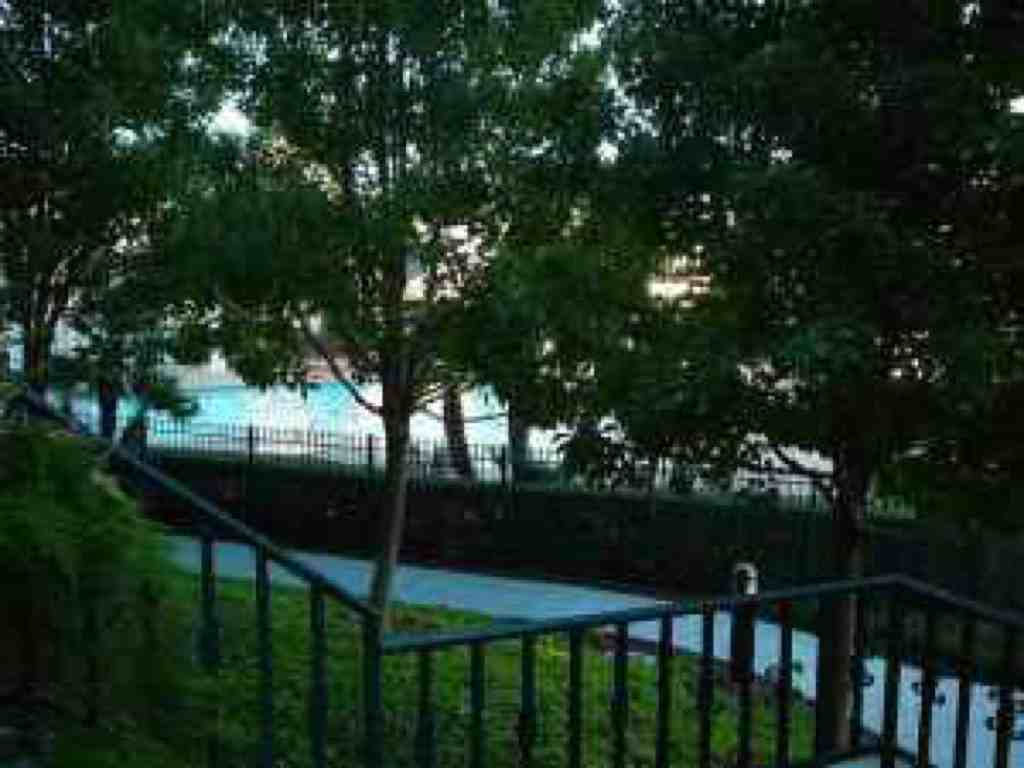 3617 Braxton Common - Photo 3 of 20